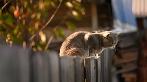 Conseil de bon voisinage